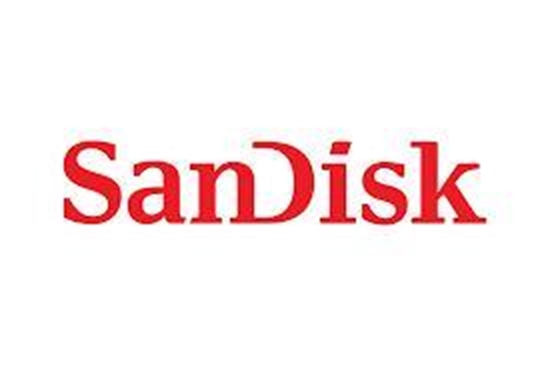 Picture of MEMORY COMPACT FLASH 480GB/SDCFEA-480G-GN4NN SANDISK