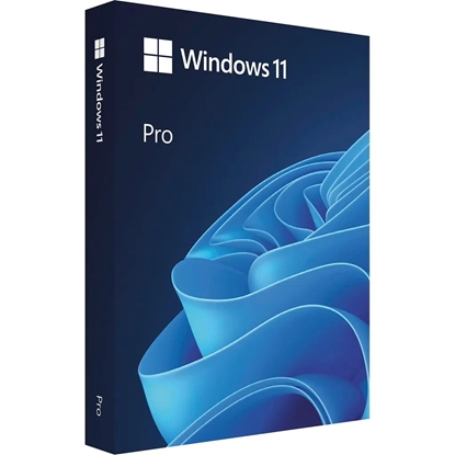 Picture of MS ESD Win Pro N 11 64-bit
