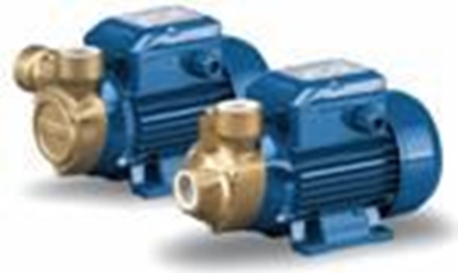 Attēls no Sūknis PQ 60-Bs 0,37kW 380V 50Hz Pedrollo