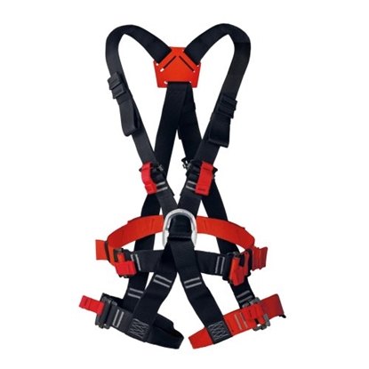 Attēls no Tarzan Economic Uni