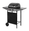 Picture of Teesa TSA0080 BBQ 2000 Gas Grill for 2 burners