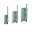 Attēls no WENGER MOTION 3pc HARDSIDE CASES Set S-M-L, Sage