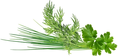 Изображение NONAME