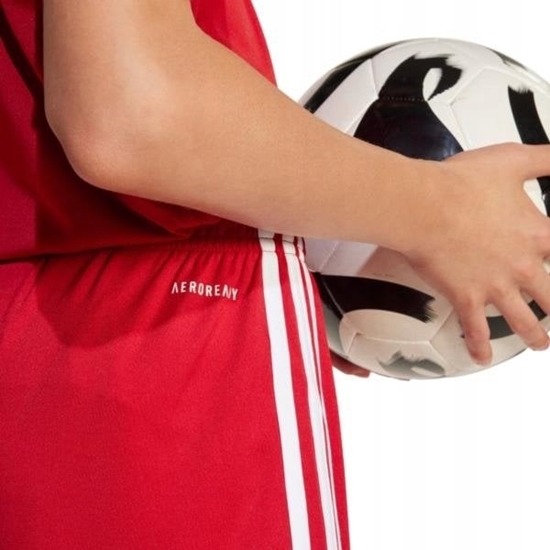 Изображение Adidas Spodenki SQUADRA 25 JN5456