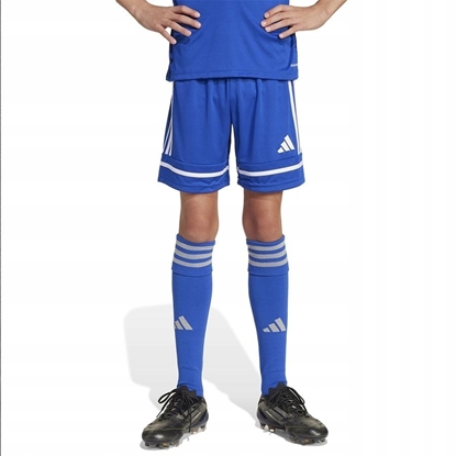 Изображение Adidas Spodenki SQUADRA Jr JN5455