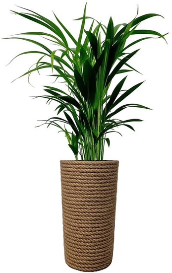 Picture of Adoni Doniczka jutowa z wkadem r. 22cm wys. 36cm (adoni36)