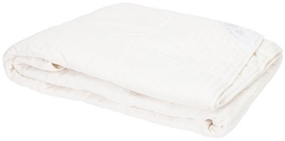 Picture of BLANKET COT/SATEEN-COTTON 300GM2 160X200