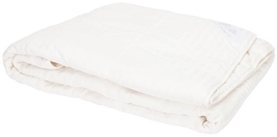 Picture of BLANKET COT/SATEEN-COTTON 300GM2 160X200