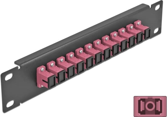 Изображение Delock 10″ Fiber Optic Patch Panel 12 Port SC Simplex violet 1U black
