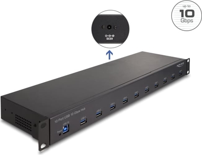 Attēls no Delock 19″ Industry Hub 10 x USB 10 Gbps Type-A