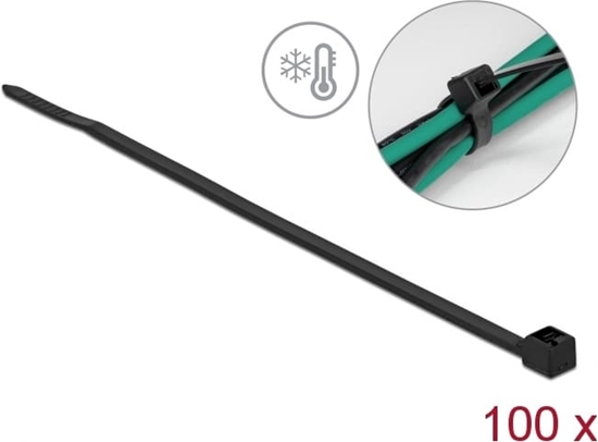 Picture of Delock Cable tie cold resistant L 100 x W 2.5 mm black 100 pieces