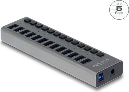 Picture of Delock External USB 5 Gbps Hub with 13 Ports + Switch