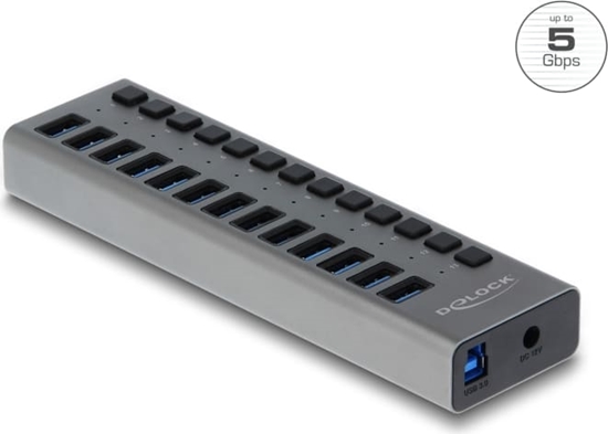 Picture of Delock External USB 5 Gbps Hub with 13 Ports + Switch