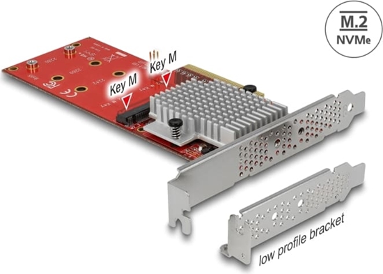 Picture of Delock PCI Express x8 Card to 2 x internal NVMe M.2 Key M - Low Profile Form Factor