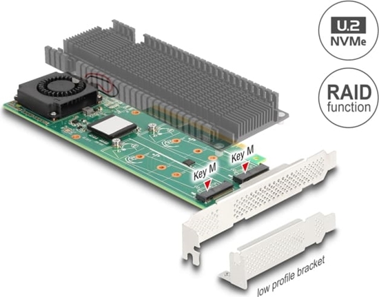 Picture of Delock PCI Express x8 Card to 2 x internal NVMe M.2 Key M with RAID - Low Profile Form Factor