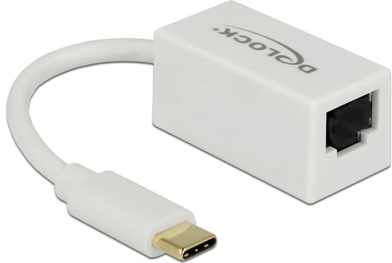 Picture of Delock USB Type-C™ Network Adapter Gigabit LAN 1 x RJ45 compact white