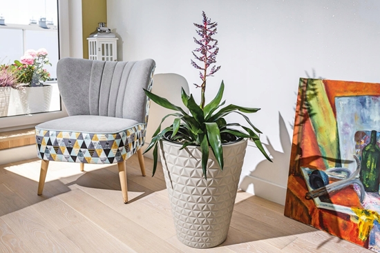 Picture of FLOWER POT DIAMOND 2900 D30 014