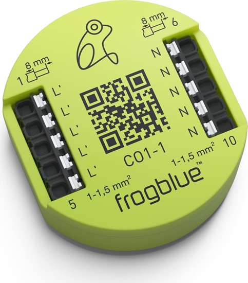 Picture of Frogblue frogConnect1-1, Ableitung von Leckstrom