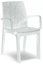 Attēls no Keter Darza fotel Verona Armchair biay 8003723091937 8003723091931937 (8003723091937)