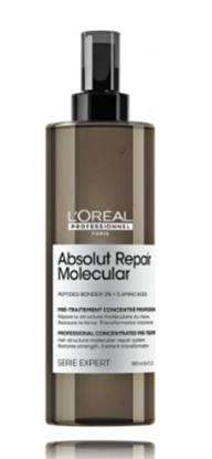 Attēls no L’Oréal Professionnel Série Expert Absolut Repair Molecular Professional Concentrated Pre-Treatment 190 ml
