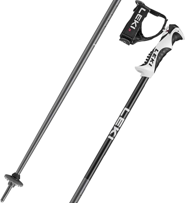 Изображение LEKI KIJE BOLD LITE S Junior 105