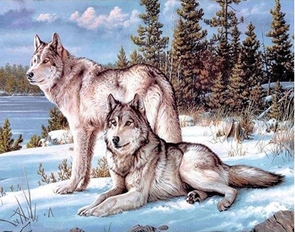 Attēls no Norimpex Mozaika diamentowa 5D - Wilki 40x30cm