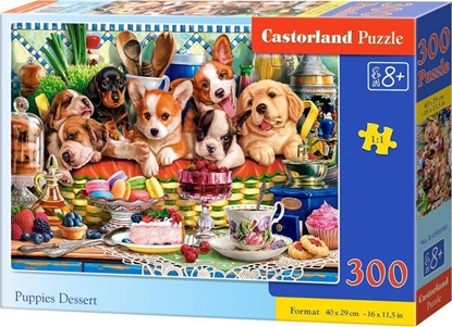 Picture of Castor Puzzle 300 elementów Szczeniaczki deser