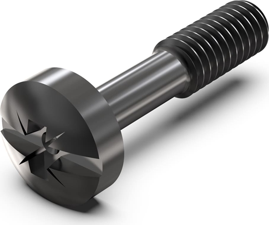 Изображение Schroff Collar Screw, Cross Recess/Slotted, M2.5 x 12.3 mm, Steel Black, 100 pieces