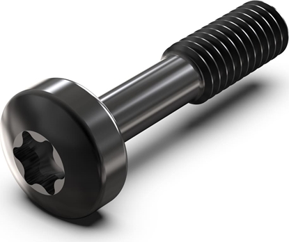 Изображение Schroff Collar Screw, Torx M2.5 x 12.3 mm, Steel Black, 100 pieces