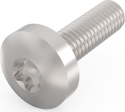 Изображение Schroff Panhead Screw, Torx, GND Function, Steel Zinc Plated, M4 × 14 mm, 10 Pieces