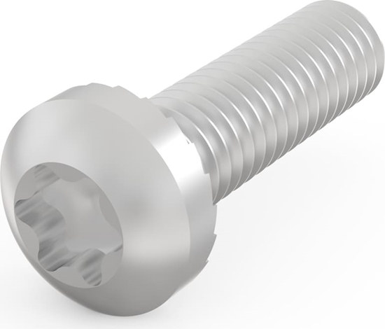 Изображение Schroff Panhead Screw, Torx, M4 x 14, 100 Pieces