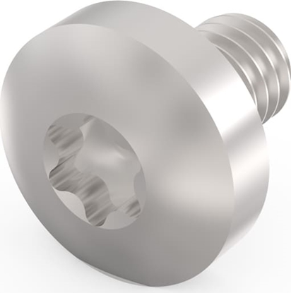 Изображение Schroff Panhead Screw, Torx, Steel, Zinc-Plated, Self Forming Thread, M4x6