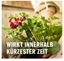 Изображение Sourcing FERTILIZER FOR GERANIUMS 1,3L