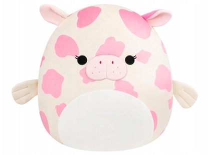 Picture of Squishmallows P24 Mondy Sea Cow, pehmolelu, 40cm