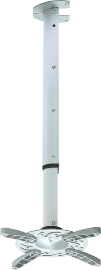 Picture of Techly ICA-PM 102XL projektora stiprinājums Griesti Sudrabs