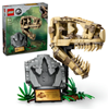 Picture of LEGO Jurassic World Szkielety dinozaurów  czaszka tyranozaura (76964)