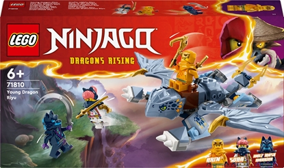 Picture of LEGO Ninjago Smocztko Riyu (71810)