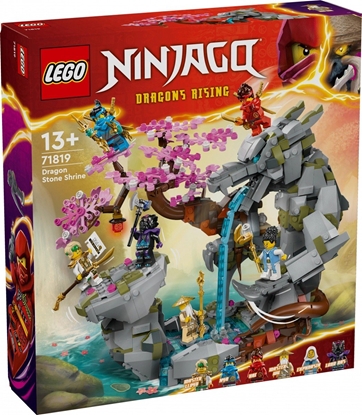 Picture of LEGO Ninjago witynia Smoczego Kamienia (71819)