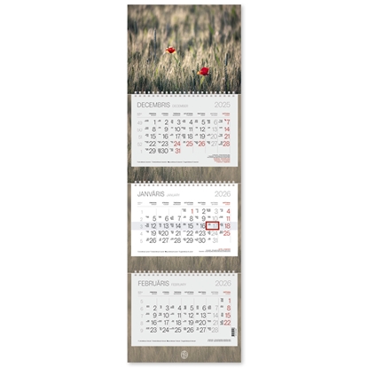 Picture of Sienas kalendārs-plānotājs 2026.gadam EKO TRIO Plus, trīsdaļīgs, 305x960 m