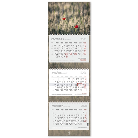 Picture of Sienas kalendārs-plānotājs 2026.gadam EKO TRIO Plus, trīsdaļīgs, 305x960 m