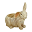 Изображение Dārza dekors Zaķis 34x21x31cm, ar podu