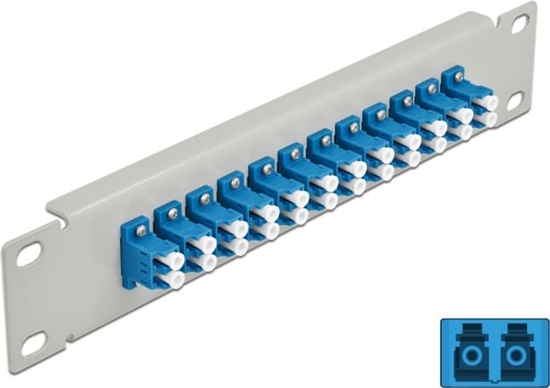 Изображение Delock 10″ Fiber Optic Patch Panel 12 Port LC Duplex blue 1U grey