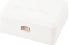 Изображение Equip 2-Port Keystone Jack Surface Mount Box