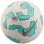 Picture of Futbola bumba Nike Pitch FZ263-103 Ball
