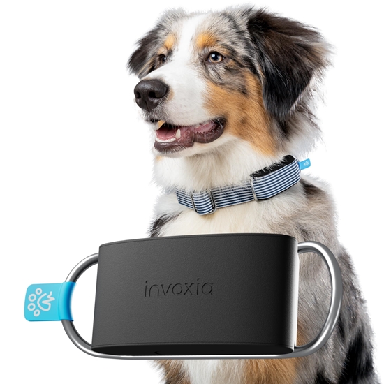 Picture of INVOXIA MINI TAILZ HEART MONITOR LWT6 (WITH 1 YEAR SUBSCRIPTION)