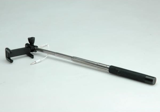 Picture of Pašbildes kāts, Value