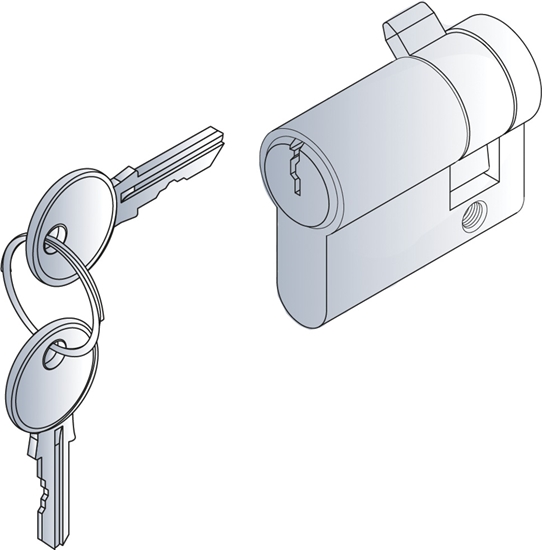 Изображение Schroff Novastar Lock Cylinder, DIN Lock Insert