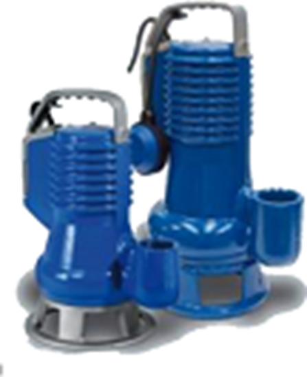 Изображение Sūknis DG BLUE P 150-2-G50V (1103.001) 1,1kW 380V