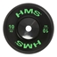 Picture of Svaru disks BTBR10 OLYMPIC PLATE BUMPER 10 KG HMS