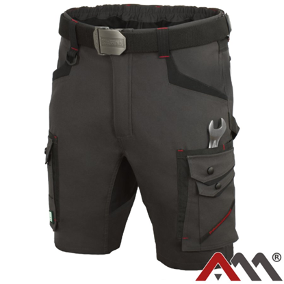 Изображение Šorti darba Professional 4 Dynamic 48.izm